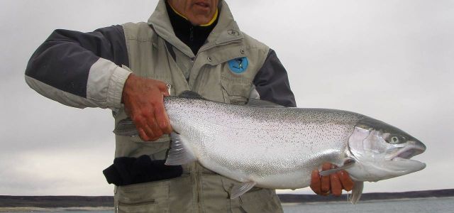 Pesca en el Lago Strobel